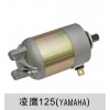 凌鷹125（雅馬哈）啟動電機(jī)