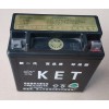 免維護(hù)蓄電池
