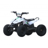 沙灘車(chē)90CC