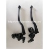 Set winker cgl125