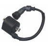 high voltage coil