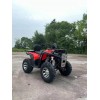 beach vehicle 4
