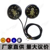 摩托車改裝LED轉(zhuǎn)向燈反光片鬼火電動車12V車牌燈彩燈爆閃燈